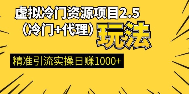（1185期）虚拟冷门资源项目2.5（冷门&代理玩法） 精准引流实操日赚1000+(更新中)-副业库