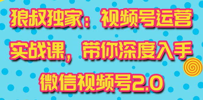 （1521期）视频号运营实战课2.0，目前市面上最新最全玩法，快速吸粉吸金（10节视频）-副业库