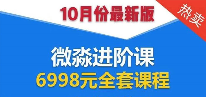 （1553期）微淼理财进阶课全套视频：助你早点实现财务自由，理论学习+案例分析+实操-副业库