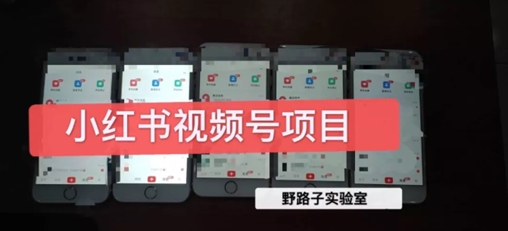 （1566期）野路子小红书课程月入过万：直接上手操作就能赚钱的视频号项目 可长久操作-副业库