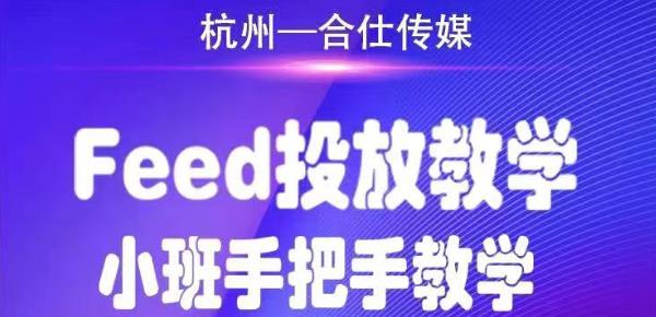 （1749期）合仕传媒Feed投放教学，手把手教学，开车烧钱必须自己会！-副业库