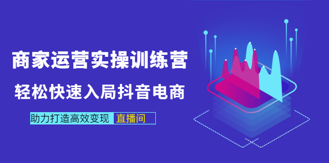 （2998期）商家运营实操训练营，轻松快速入局抖音电商，助力打造高效变现直播间-副业库
