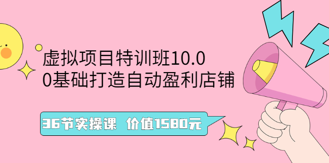 （2497期）虚拟项目特训班10.0，0基础打造自动盈利店铺 36节实操课-副业库