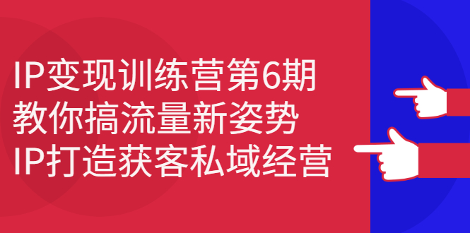 （2351期）IP变现训练营第6期：教你搞流量新姿势，IP打造获客私域经营-副业库