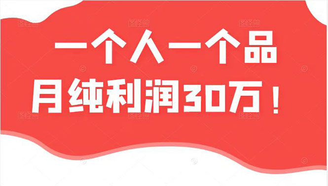 （2343期）某公众号付费文章：一个人一个品月纯利润30万的蓝海电商经典案例！-副业库