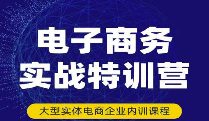 （3101期）电子商务实战特训营，全方位带你入门电商，308种方式玩转电商-副业库