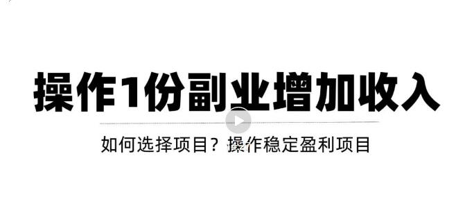 （3217期）新手如何通过操作副业增加收入，从项目选择到玩法分享！【视频教程】-副业库