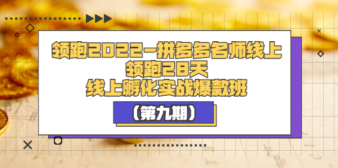 （3370期）领跑2022-拼多多名师线上领跑28天，线上孵化实战爆款班（第九期）-副业库