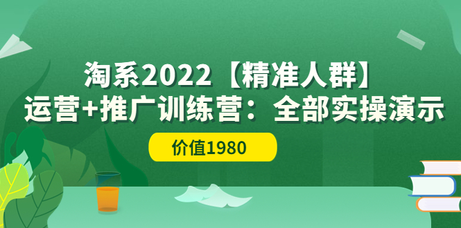 （3516期）淘系2022【精准人群】运营+推广训练营：全部实操演示-副业库