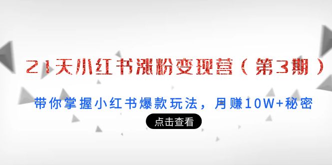 （3795期）21天小红书涨粉变现营（第3期）：带你掌握小红书爆款玩法，月赚10W+秘密-副业库