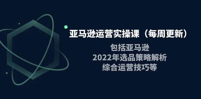 （3955期）亚马逊运营实操课（每周更新）包括亚马逊2022选品策略解析，综合运营技巧等-副业库