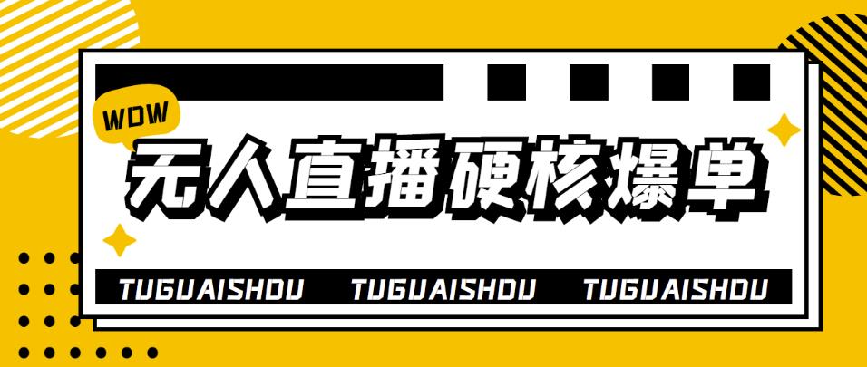 （3980期）大飞无人直播硬核爆单技术，轻松玩转无人直播，暴利躺赚-副业库
