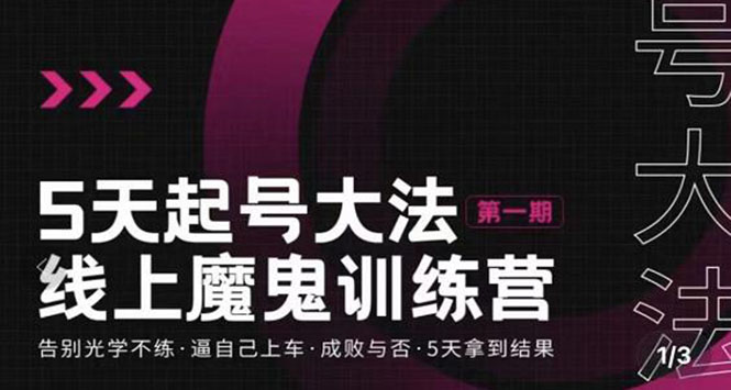 （3121期）五天起号魔鬼训练营，告别光学不练，逼自己上车，成败与否，5天拿到结果-副业库