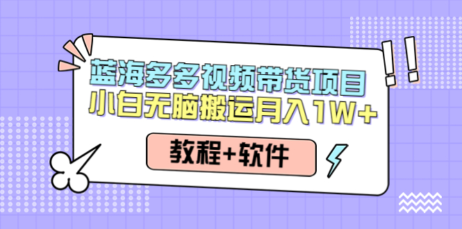 （4343期）人人都能操作的蓝海多多视频带货项目 小白无脑搬运月入10000+（教程+软件）-副业库