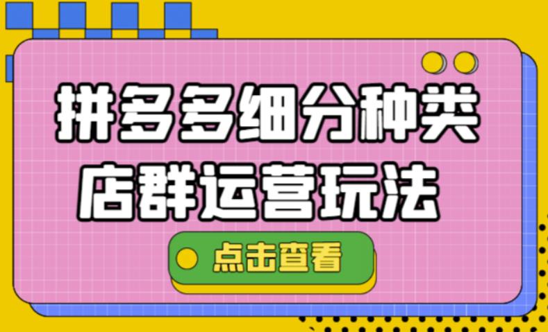 （4373期）拼多多细分种类店群运营玩法3.0，11月最新玩法，小白也可以操作-副业库