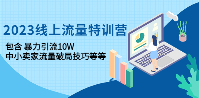 （4567期）2023线上流量特训营：包含暴力引流10W+中小卖家流量破局技巧等等-副业库