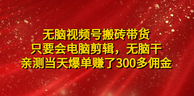 （4862期）无脑视频号搬砖带货，只要会电脑剪辑，无脑干，亲测当天爆单赚了300多佣金-副业库