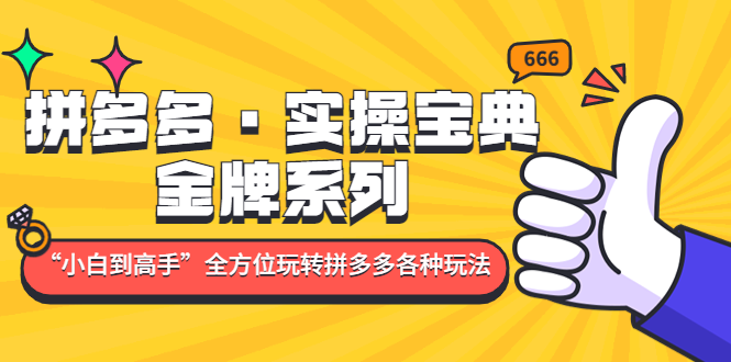 （4934期）拼多多·实操宝典：金牌系列“小白到高手”带你全方位玩转拼多多各种玩法-副业库