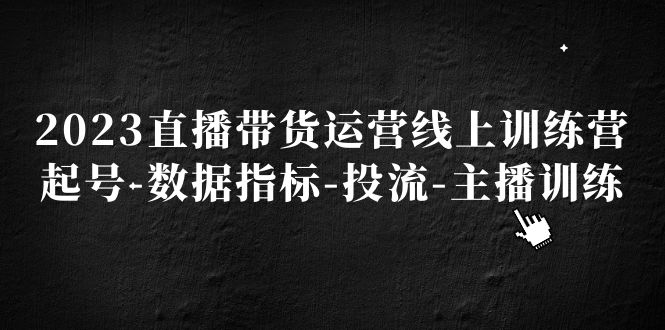 （5122期）2023直播带货运营线上训练营，起号-数据指标-投流-主播训练-副业库