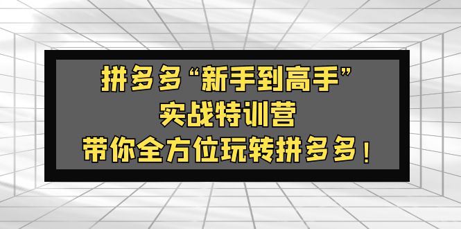 （5173期）拼多多“新手到高手”实战特训营：带你全方位玩转拼多多！-副业库