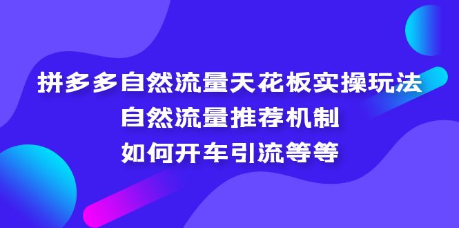 （5327期）拼多多自然流量天花板实操玩法：自然流量推荐机制，如何开车引流等等-副业库