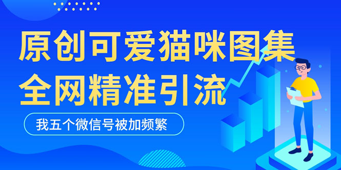 （5498期）黑科技纯原创可爱猫咪图片，全网精准引流，实操5个VX号被加频繁-副业库