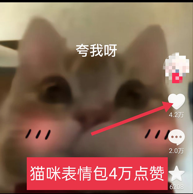 图片[3]-（5498期）黑科技纯原创可爱猫咪图片，全网精准引流，实操5个VX号被加频繁-副业库