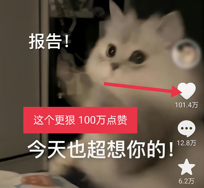 图片[4]-（5498期）黑科技纯原创可爱猫咪图片，全网精准引流，实操5个VX号被加频繁-副业库