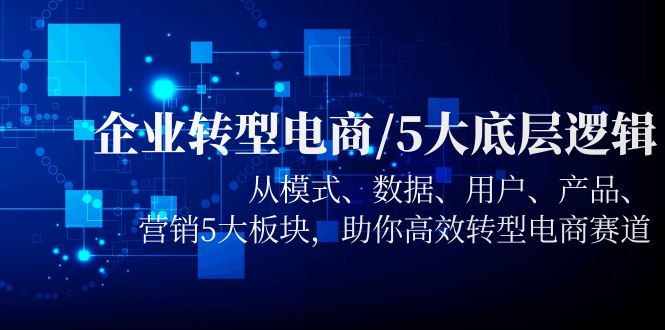 （5939期）企业转型电商/5大底层逻辑，从模式 数据 用户 产品 营销5大板块，高效转型-副业库