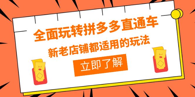 （6294期）全面玩转拼多多直通车，新老店铺都适用的玩法（12节精华课）-副业库