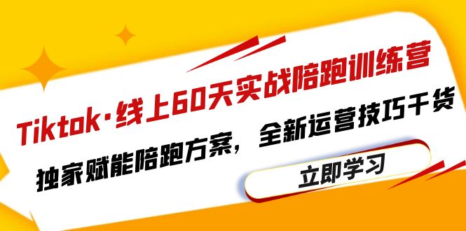 （6333期）Tiktok·线上60天实战陪跑训练营，独家赋能陪跑方案，全新运营技巧干货-副业库