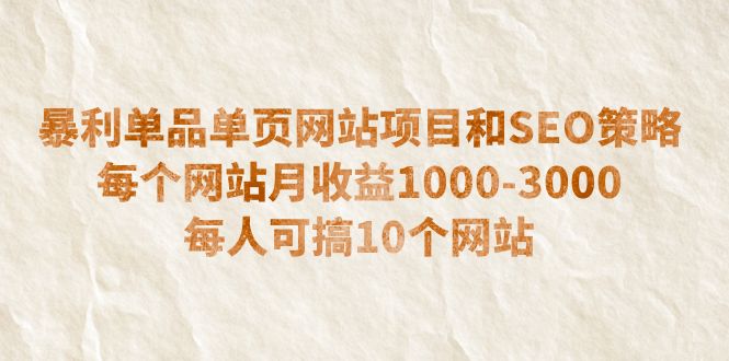 （6503期）暴利单品单页网站项目和SEO策略  每个网站月收益1000-3000  每人可搞10个-副业库