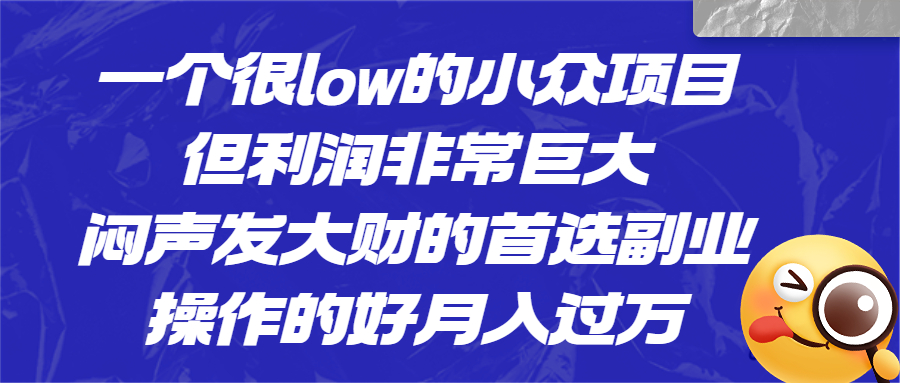 （6601期）一个很low的小众项目，但利润非常巨大，闷声发大财的首选副业，月入过万-副业库