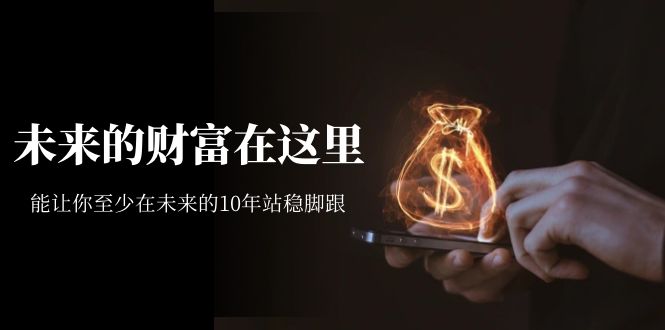 （7164期）某收费文章《未来的财富在这里》能让你至少在未来的10年站稳脚跟-副业库