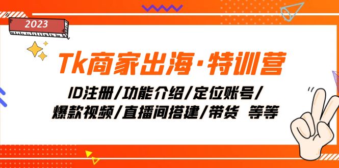 （7974期）Tk商家出海·特训营：ID注册/功能介绍/定位账号/爆款视频/直播间搭建/带货.-副业库