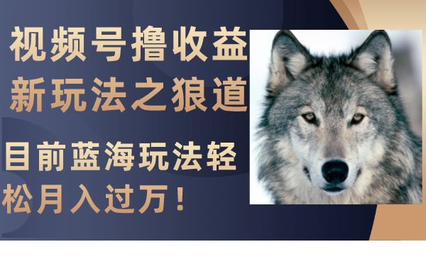（8042期）视频号撸收益新玩法之狼道，目前蓝海玩法轻松月入过万！-副业库
