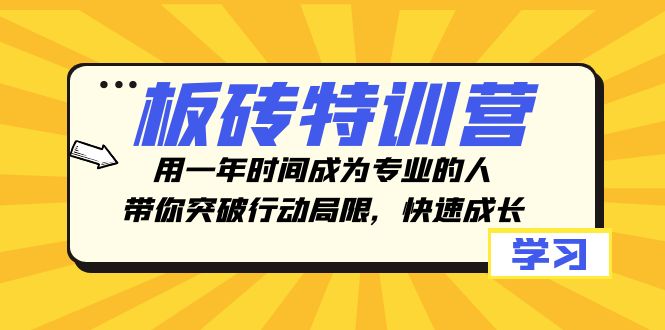 （8048期）板砖特训营，用一年时间成为专业的人，带你突破行动局限，快速成长-副业库