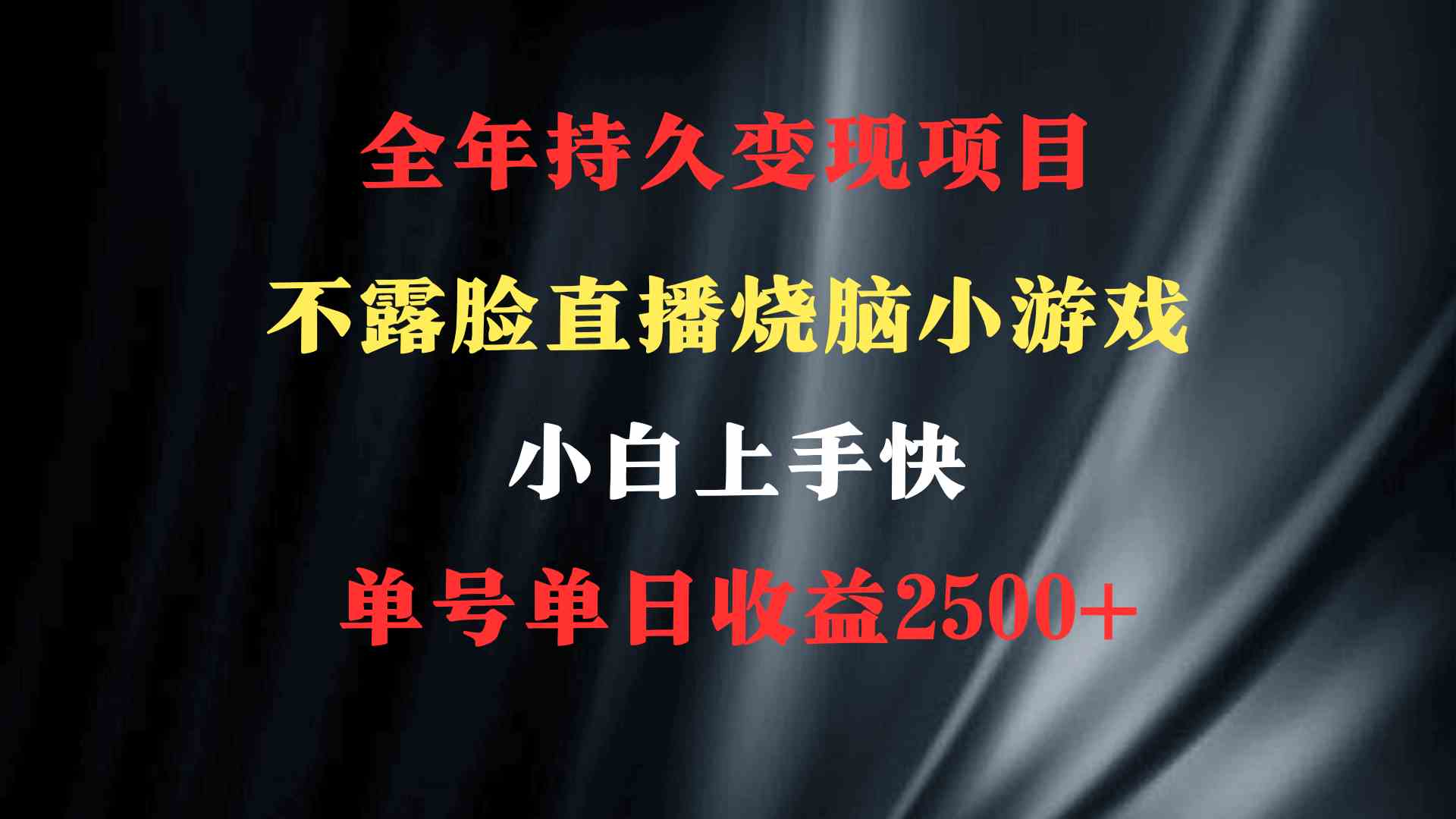 （9168期）2024年 最优项目，烧脑小游戏不露脸直播  小白上手快 无门槛 一天收益2500+-副业库