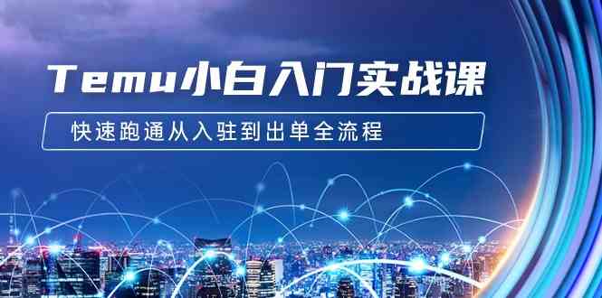 （9295期）Temu小白入门实战课：跨境拼多多电商培训 快速跑通从入驻到出单全流程-12节-副业库