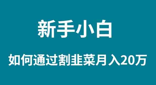 （9308期）新手小白如何通过割韭菜月入 20W-副业库