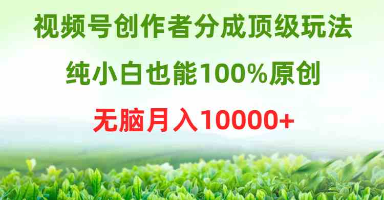 （9608期）视频号创作者分成顶级玩法，纯小白也能100%原创，无脑月入10000+-副业库