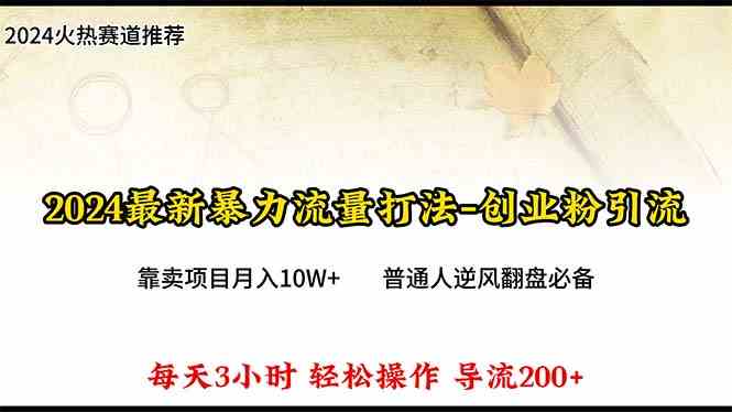 （10151期）2024年最新暴力流量打法，每日导入300+，靠卖项目月入10W+-副业库