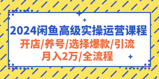 （10711期）2024闲鱼高级实操运营课程：开店/养号/选择爆款/引流/月入2万/全流程-副业库