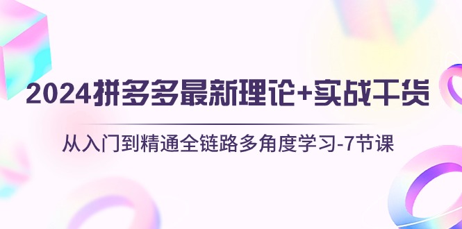 （10816期）2024拼多多 最新理论+实战干货，从入门到精通全链路多角度学习-7节课-副业库
