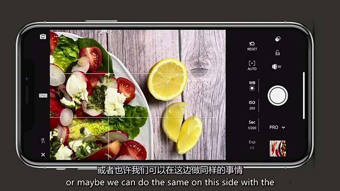 （11073期）iPhone 美食摄影-掌握美食摄影造型-构图和编辑艺术-21节课-中英字幕-副业库
