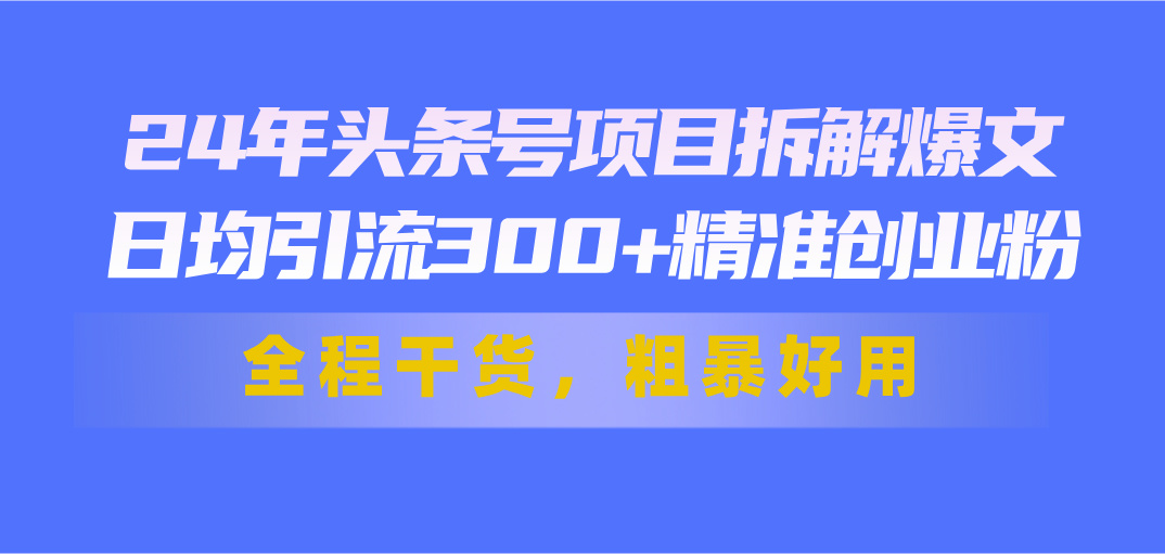 （11397期）24年头条号项目拆解爆文，日均引流300+精准创业粉，全程干货，粗暴好用-副业库