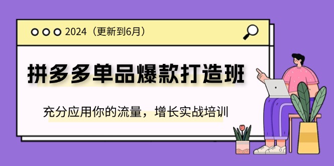 （11556期）2024拼多多-单品爆款打造班(更新6月)，充分应用你的流量，增长实战培训-副业库