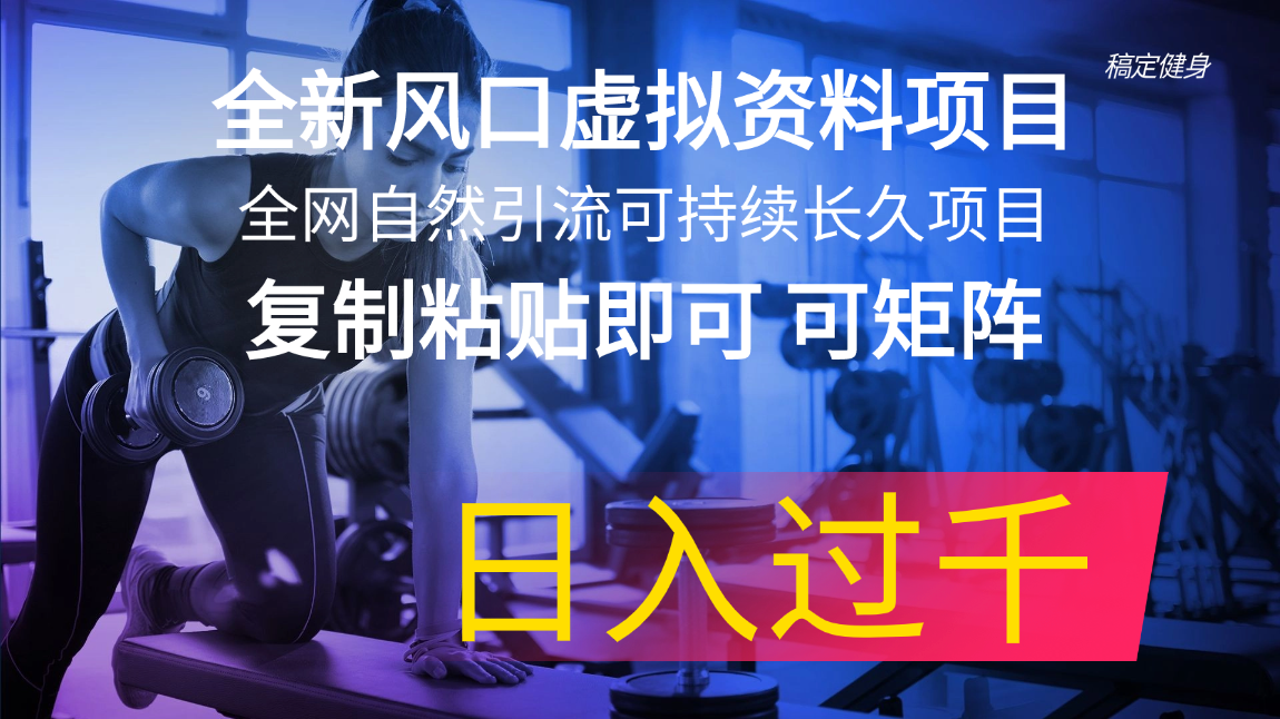 （11587期）全新风口虚拟资料项目 全网自然引流可持续长久项目 复制粘贴即可可矩阵…-副业库