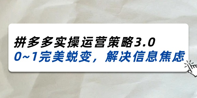 （11658期）2024_2025拼多多实操运营策略3.0，0~1完美蜕变，解决信息焦虑（38节）-副业库