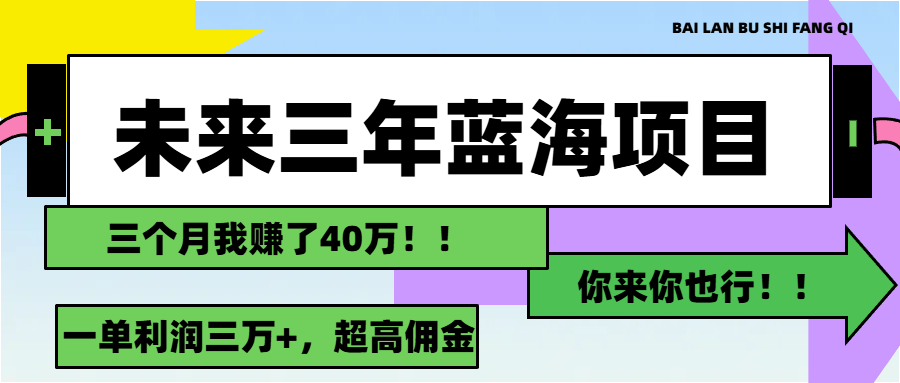 （11716期）未来三年，蓝海赛道，月入3万+-副业库